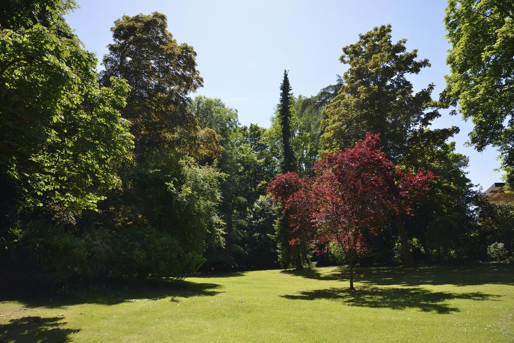 Le Château d'Hermonville B&B / Chambres d'hôtes Exterior foto